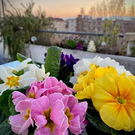 Apartment Attico&nuvole Turin