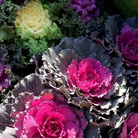 Lägenhet Attico&nuvole *