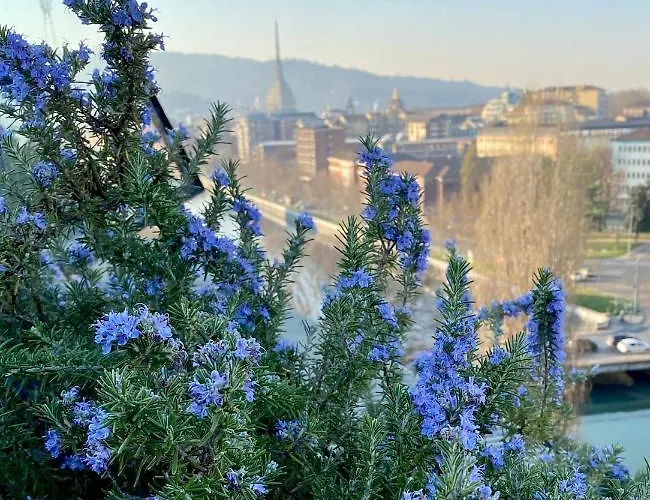 Daire Attico&nuvole *