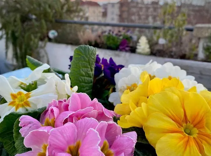 Daire Attico&nuvole Torino