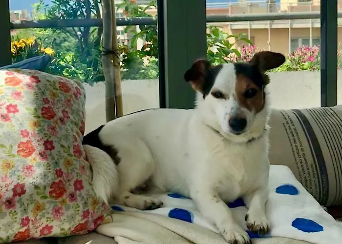 Attico&nuvole Daire Torino