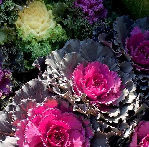 Appartement Attico&nuvole *