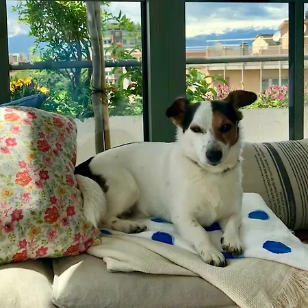 Attico&nuvole アパート トリノ